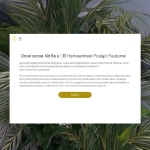 丝瓜官网：防骚扰设置详细说明