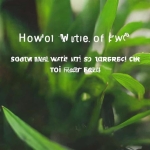 丝瓜官网：丝瓜聊天添加好友的几种方法