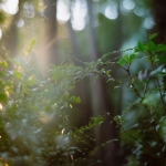 丝瓜官网：视频聊天功能使用说明