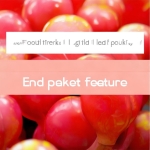 丝瓜官网：红包功能全指南