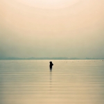 丝瓜官网：主题皮肤下载指南