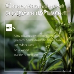 丝瓜官网：丝瓜聊天添加好友的几种方法