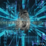 丝瓜官网多账号切换功能详解