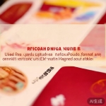 丝瓜官网：红包功能全指南