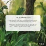 丝瓜官网：丝瓜聊天添加好友的几种方法