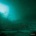 丝瓜官网：主题皮肤下载指南