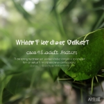 丝瓜官网：丝瓜聊天添加好友的几种方法